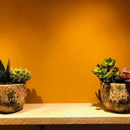 別荘 Tiny Dune ザントフォールト
